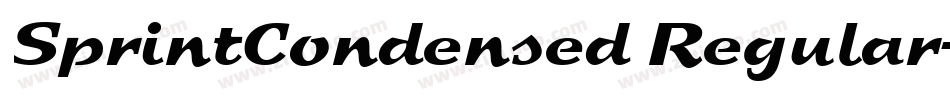 SprintCondensed Regular字体转换